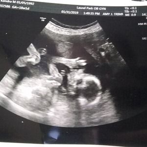 Meet your Posher, Joey